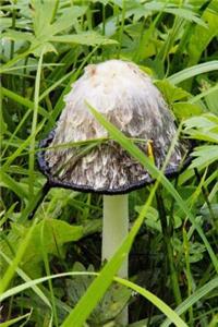 Mushroom in the Grass Journal