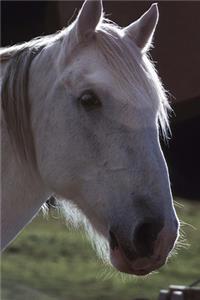 Equine Journal White Horsehead