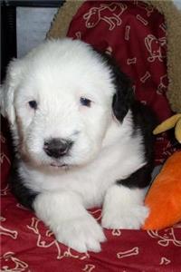 Such a Precious Little Old English Sheepdog Puppy Pet Journal