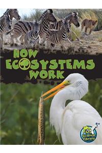How Ecosystems Work