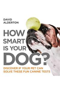 How Smart Is Your Dog?