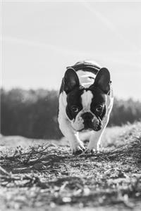 French Bulldogs Dog Pup Puppy Doggie Notebook Bullet Journal Diary Composition Book Notepad - Black White