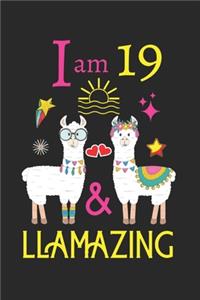 I am 19 and Llamazing