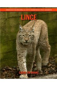 Lince