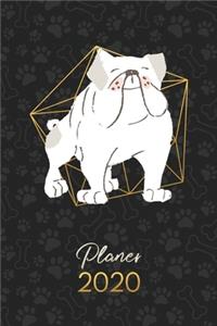 Planer 2020