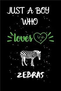 Just A Boy Who Loves Zebras