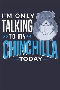 I'm Only Talking to My Chinchilla Today