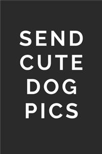 Send Cute Dog Pics