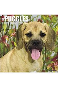 Just Puggles 2018 Wall Calendar (Dog Breed Calendar)