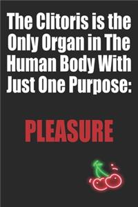 The Clitoris is the Only Organ in The Human Body With Just One Purpose Pleasure