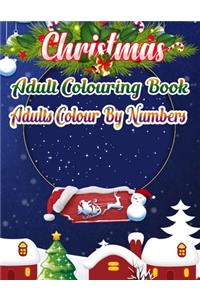 Christmas Adults Colour By Numbers
