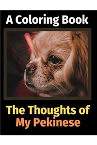 Thoughts of My Pekinese