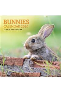 Bunnies Calendar 2020: 16 Month Calendar