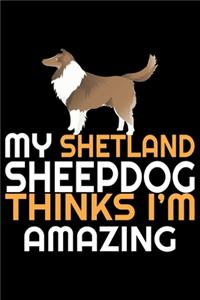 My Shetland Sheepdog Thinks I'm Amazing