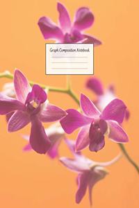 Graph Composition Notebook
