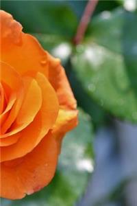 Rose Notebook