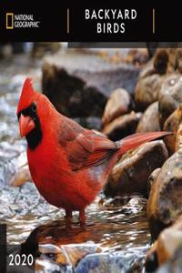 Cal 2020-National Geographic Backyard Birds Wall