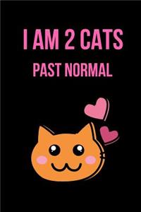 I Am 2 Cats Past Normal