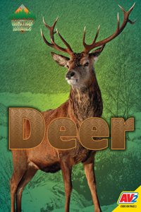 Deer