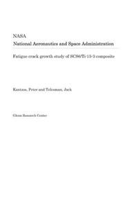 Fatigue Crack Growth Study of Scs6/Ti-15-3 Composite