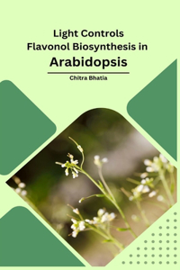 Light Controls Flavonol Biosynthesis in Arabidopsis