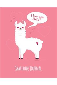 Gratitude Journal