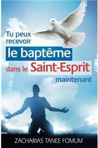 Tu Peux Recevoir Le Baptâme Dans Le Saint-esprit Maintenant: Volume 17 (Aide Pratique Pour Les Vainqueurs)