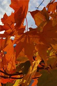 Fall Journal Orange Leaves Mountain Sunrise