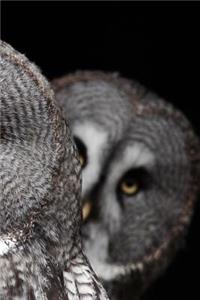 The Great Grey Owl Notebook