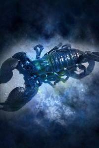 Cool Blue Zodiac Horoscope Scorpio the Scorpion Journal