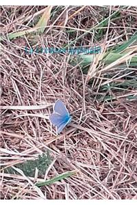 La Création applaudit