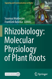 Rhizobiology: Molecular Physiology of Plant Roots