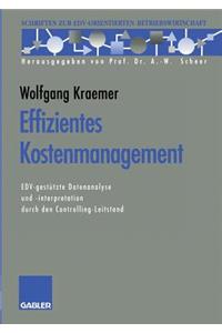 Effizientes Kostenmanagement