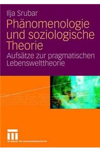 Phänomenologie Und Soziologische Theorie