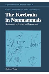 Forebrain in Nonmammals