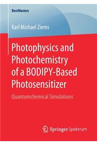 Photophysics and Photochemistry of a Bodipy‐based Photosensitizer