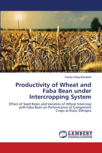 Productivity of Wheat and Faba Bean under Intercropping System