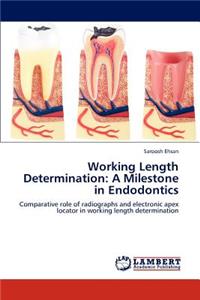 Working Length Determination