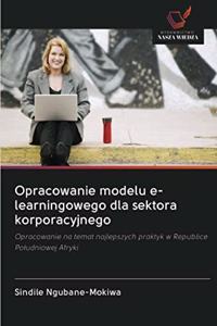 Opracowanie modelu e-learningowego dla sektora korporacyjnego
