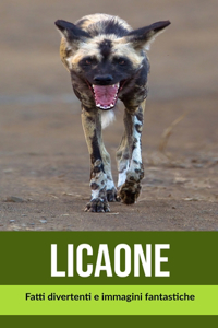Licaone