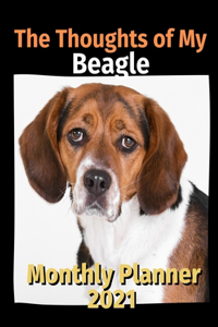 Thoughts of My Beagle