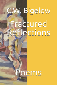 Fractured Reflections