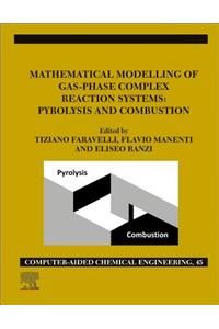 Mathematical Modelling of Gas-Phase Complex Reaction Systems: Pyrolysis and Combustion