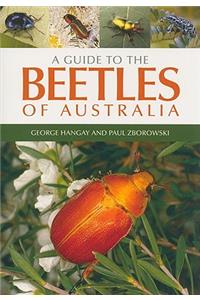 A Guide to the Beetles of Australia