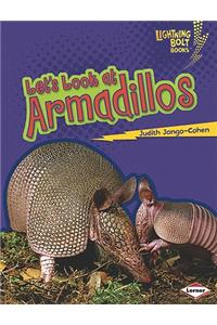 Let's Look at Armadillos