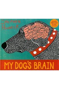My Dog's Brain