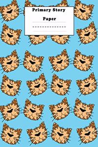 Primary Story paper