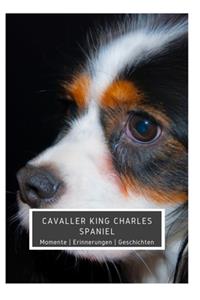 Cavaller King Charles Spaniel Momente Erinnerungen Geschichten
