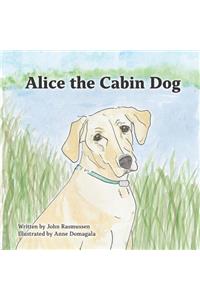 Alice the Cabin Dog