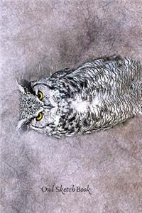 Owl Sketchbook